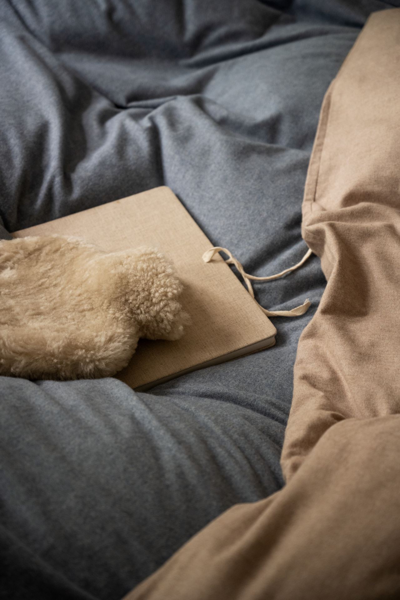 Voodipesukomplekt lõimvärvitud flanell sinakashall - 3