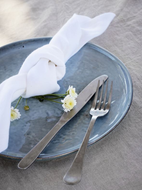 Õhtusöögi taldrik sinine - 4