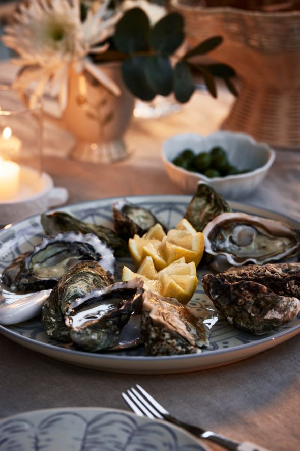 Vaagen hele sinine - 6