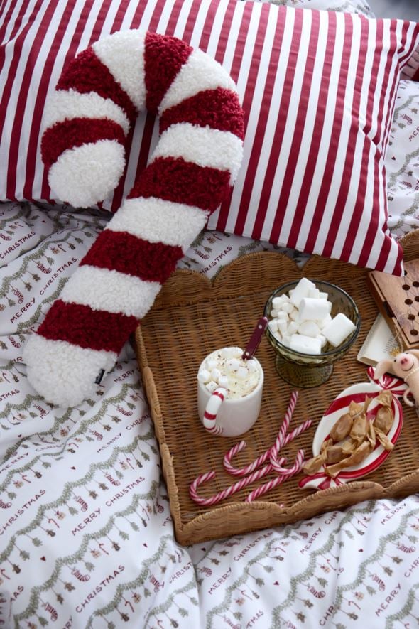 Dekoratiivpadi punane - 5