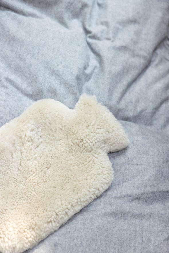 Soojaveepudel beež - 10