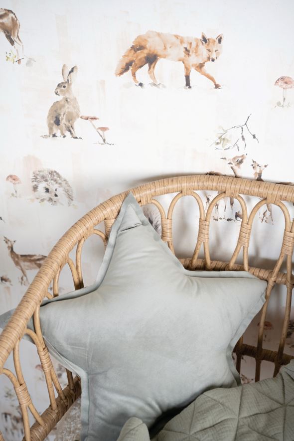 Dekoratiivpadi heleroheline - 2