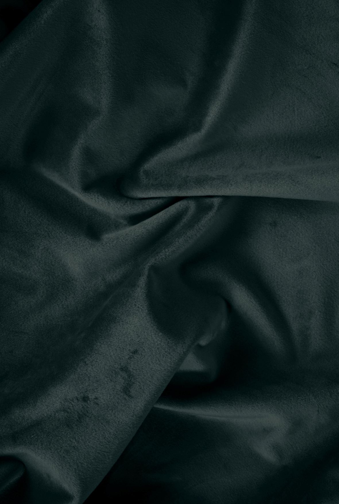 Kardin tumeroheline - 5