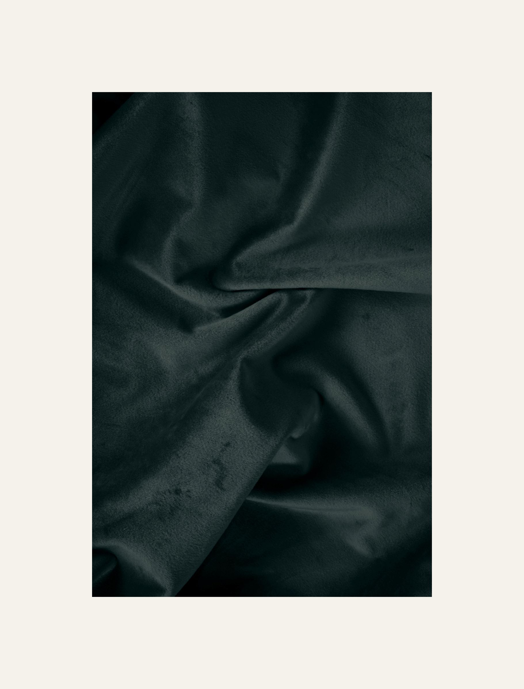 Kardin tumeroheline - 5