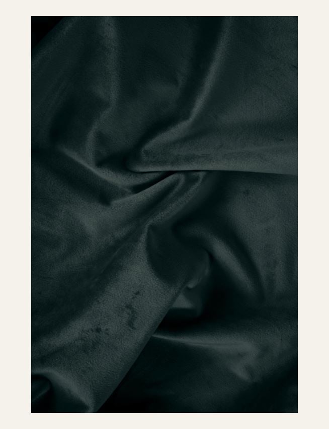 Kardin tumeroheline - 5