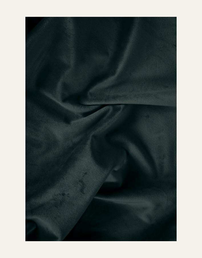 Kardin tumeroheline - 5