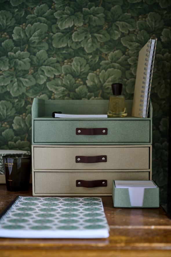 Kirjahoidja heleroheline - 2