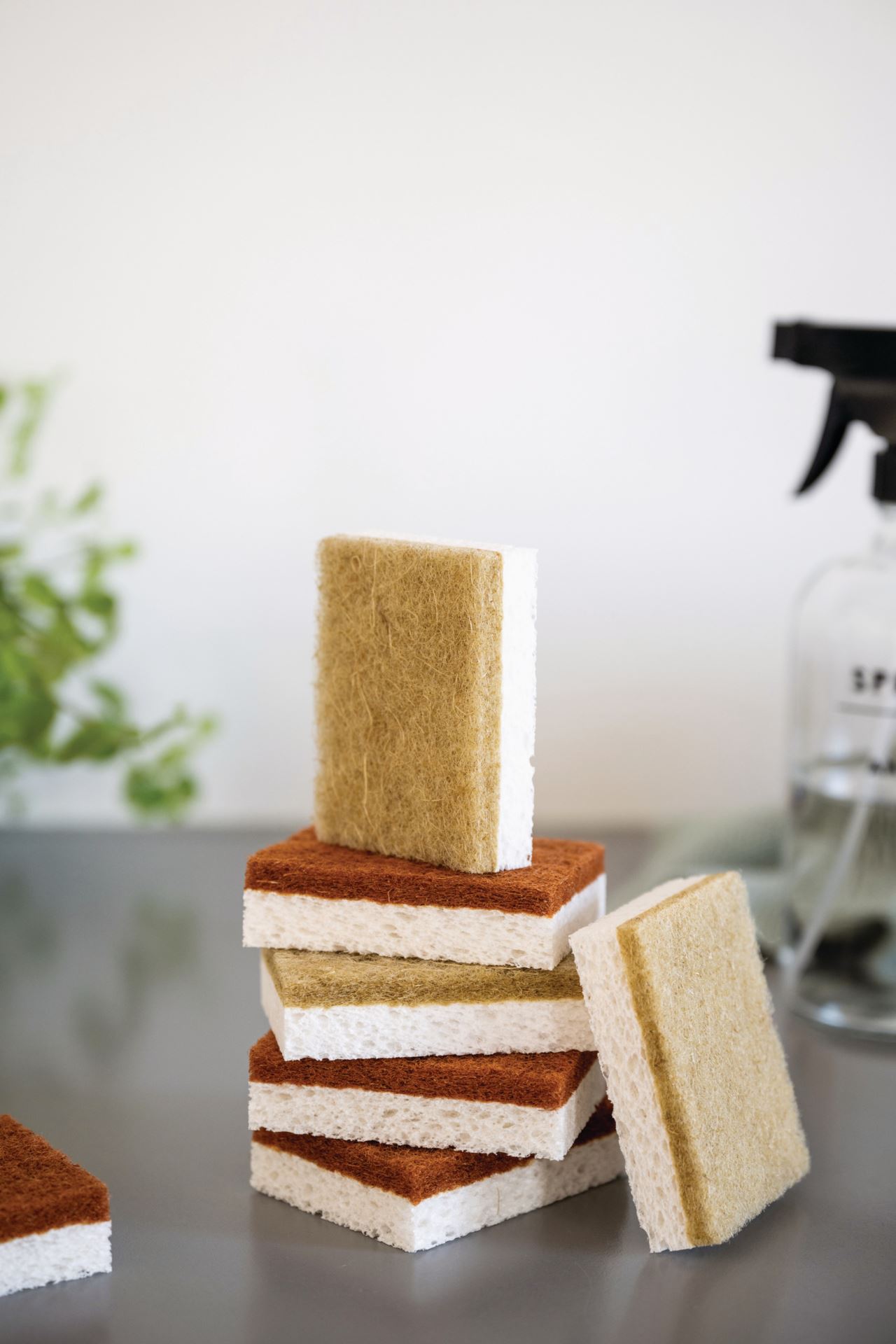 Majapidamiskäsnad mitmevärviline - 3