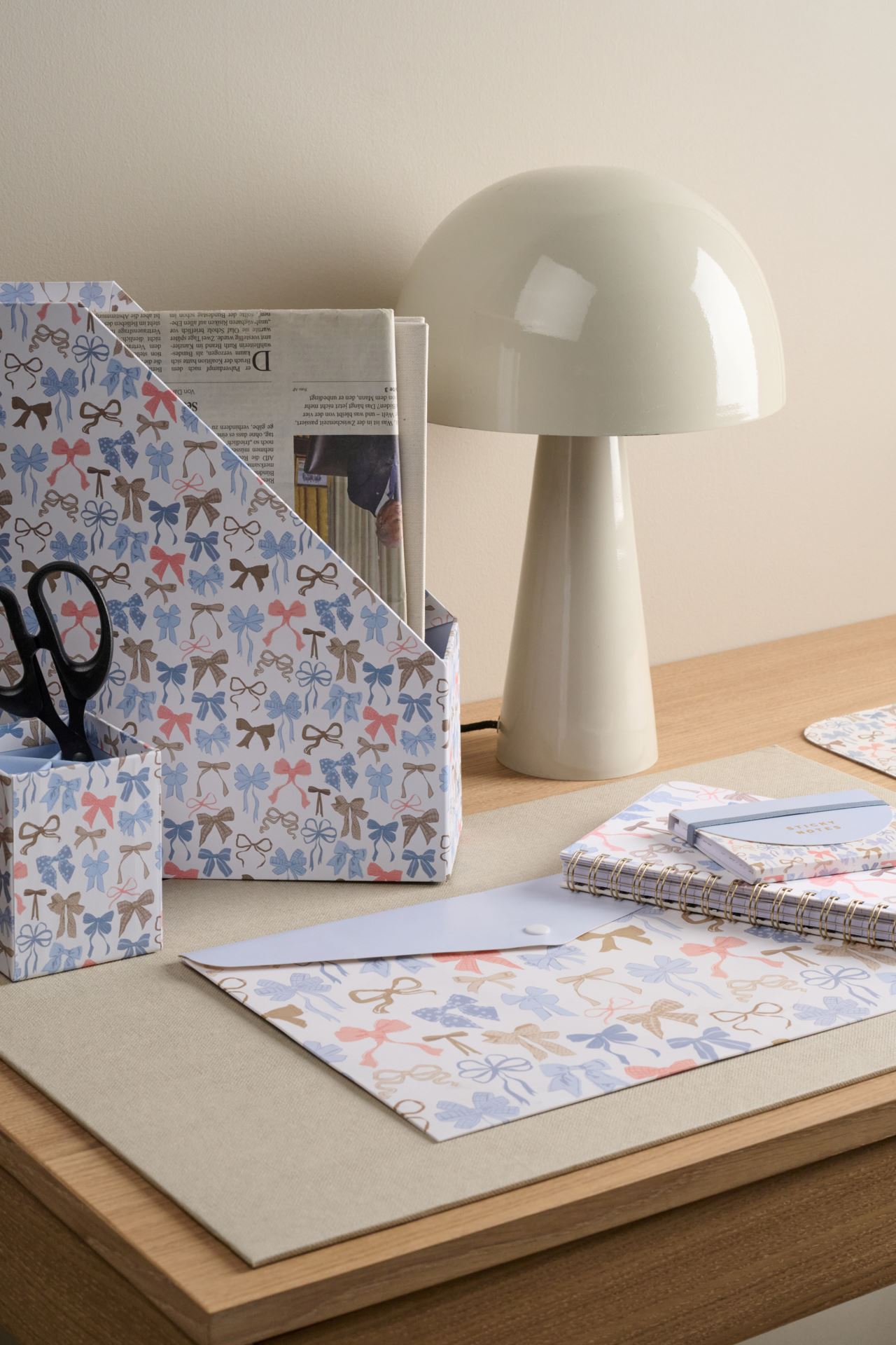 Ajalehehoidja mitmevärviline - 3