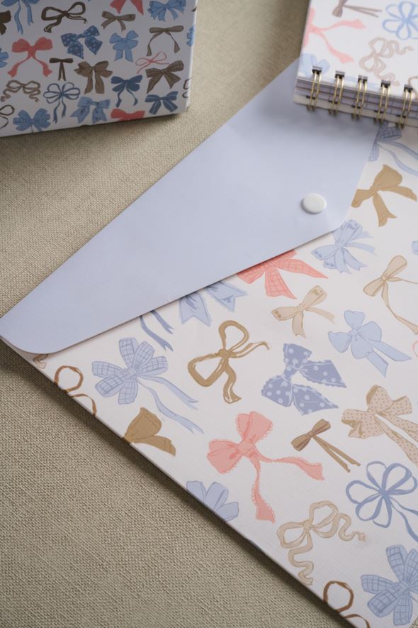 Documneti kaust mitmevärviline/sinine - 2