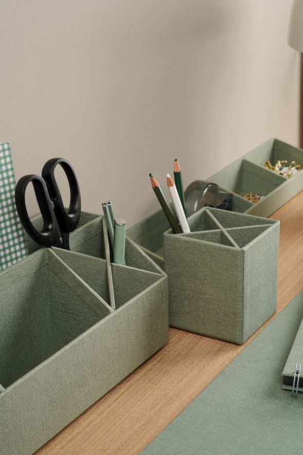 Organisaator heleroheline - 2