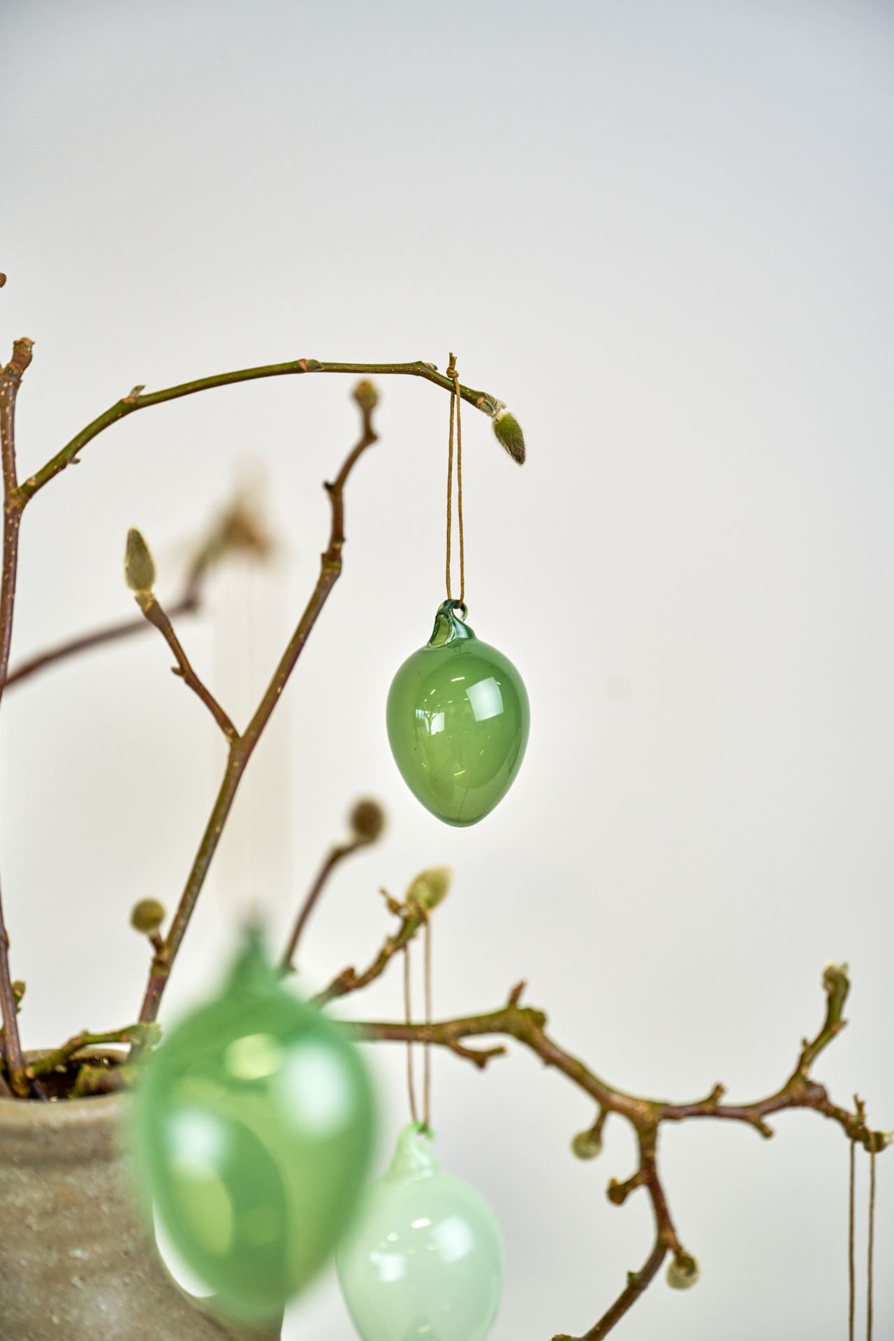 Kaunistus heleroheline - 2