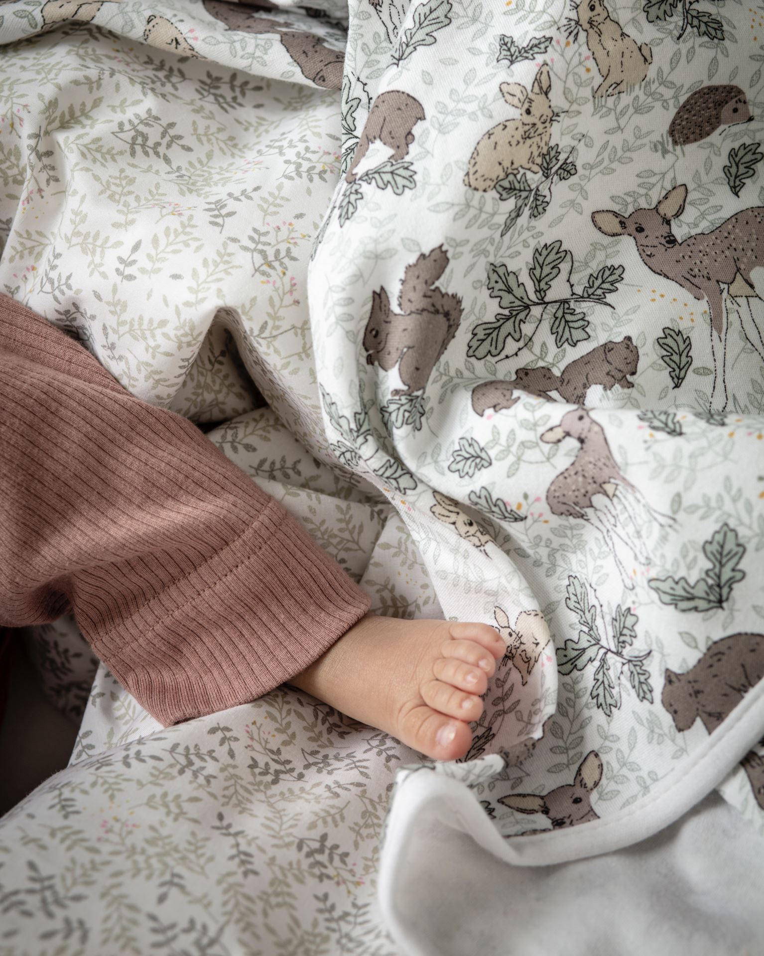 Beebi tekk                      heleroheline - 2