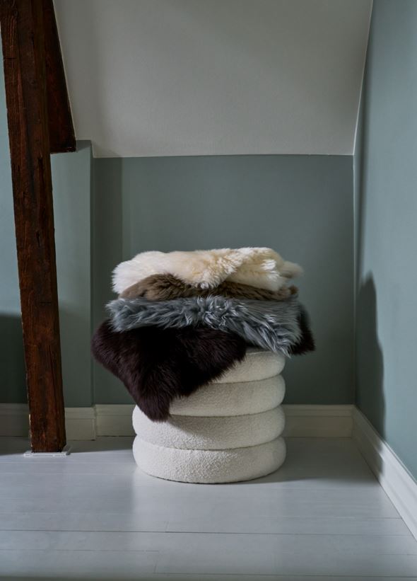 Lambanahk tumepruun - 3