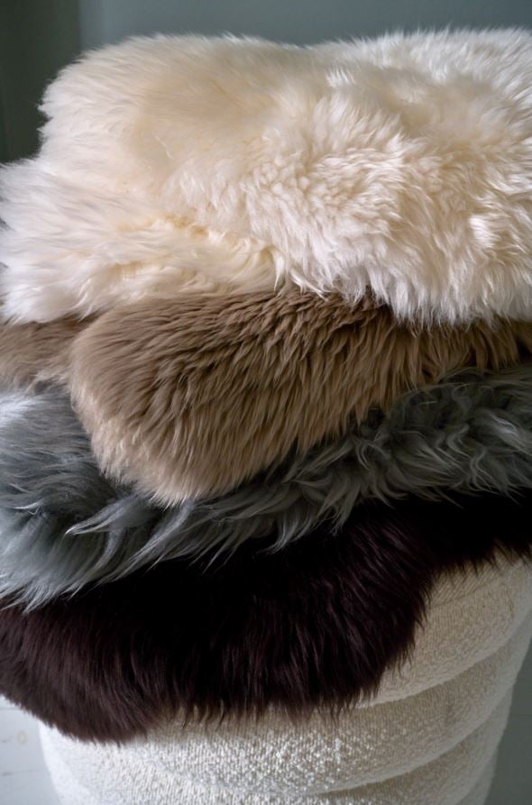 Lambanahk tumepruun - 4