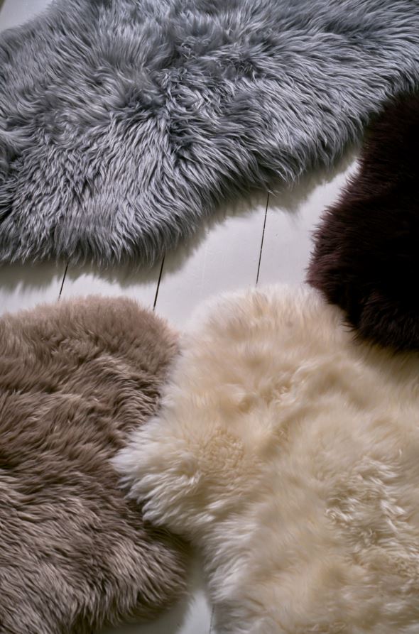 Lambanahk tumepruun - 5