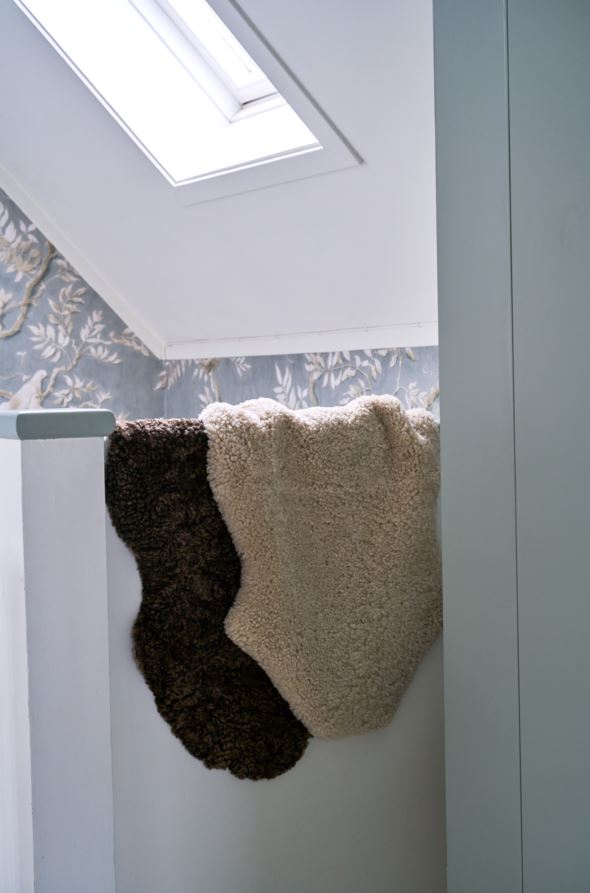 Lambanahk naturaalne toon - 6