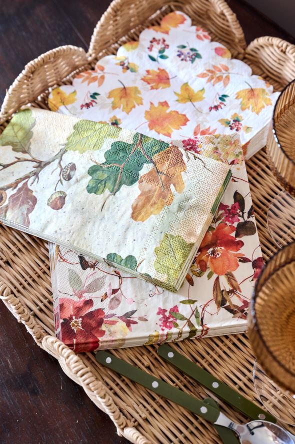 Pabersalvrätikud mitmevärviline - 2