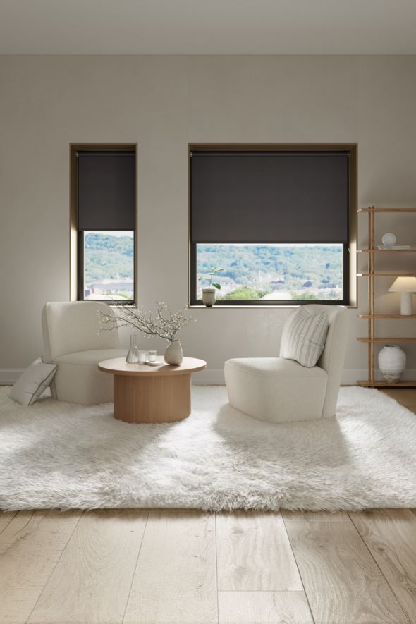 Pimendav rulookardin hall - 4