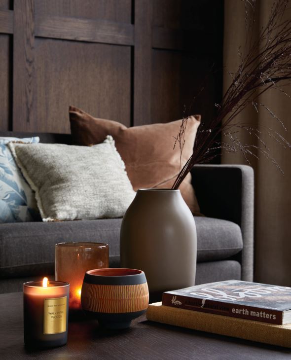 Küünlalatern pruun - 3