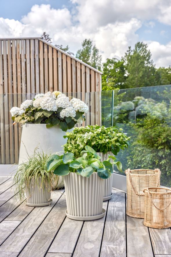 Latern naturaalne toon - 3