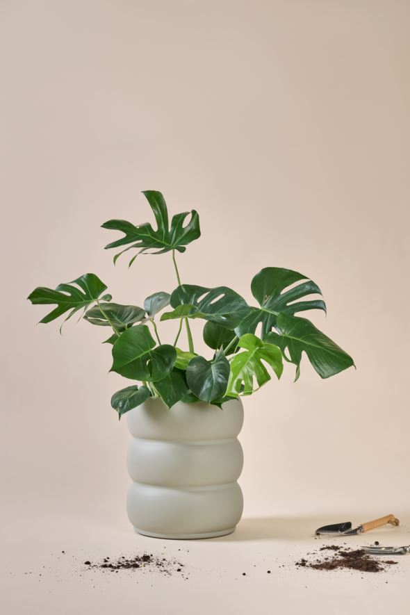 Õuepotid hallikasroheline - 3