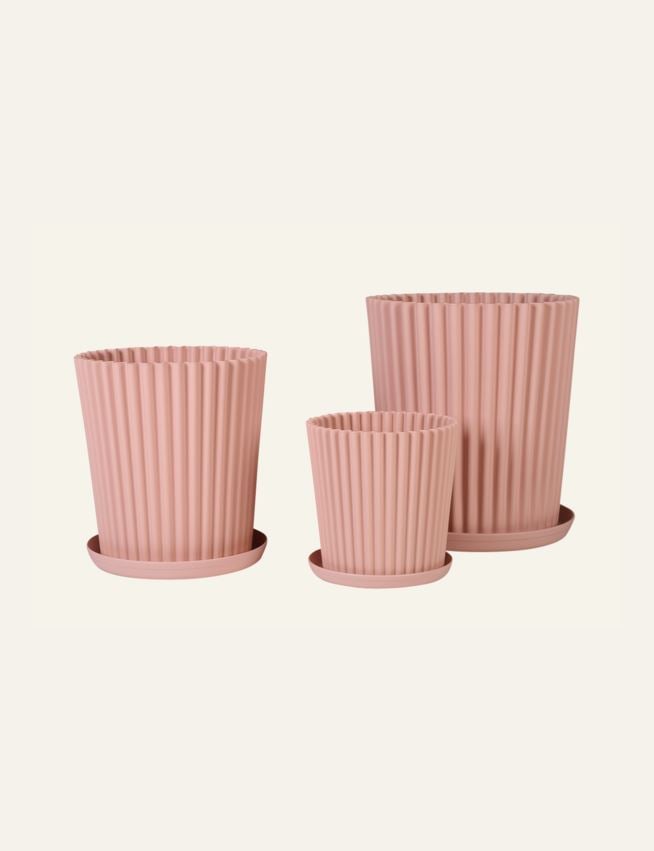 Õuepotid heleroosa - 4