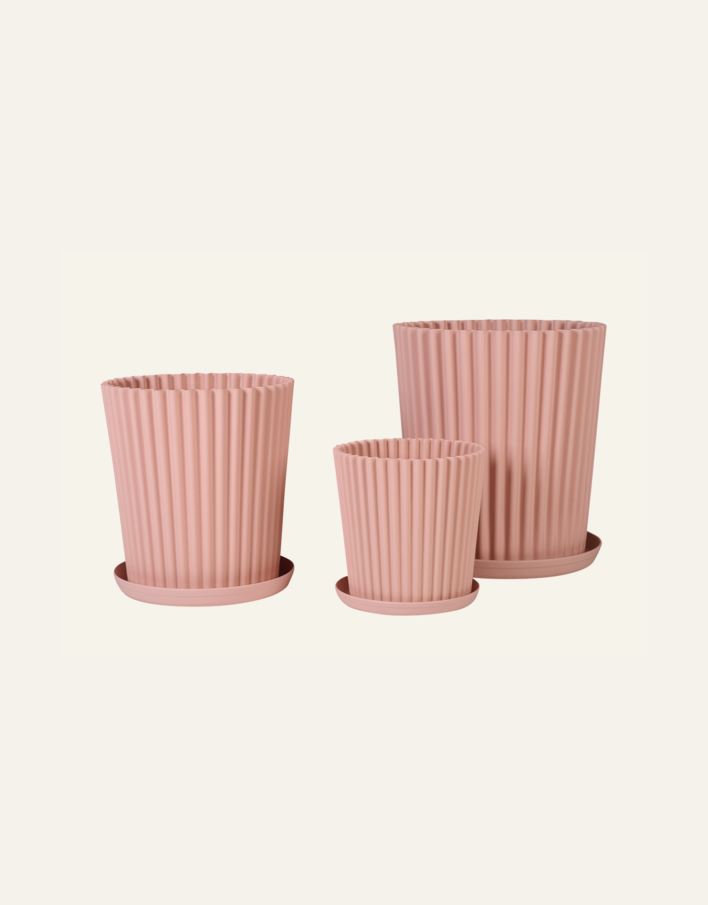 Õuepotid heleroosa - 4