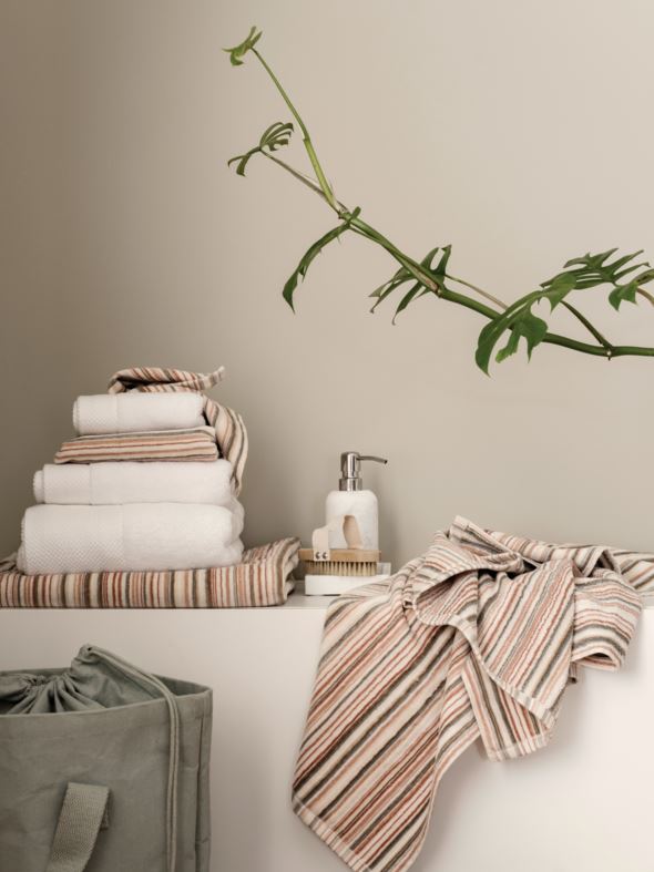 Seebidosaator valge - 2