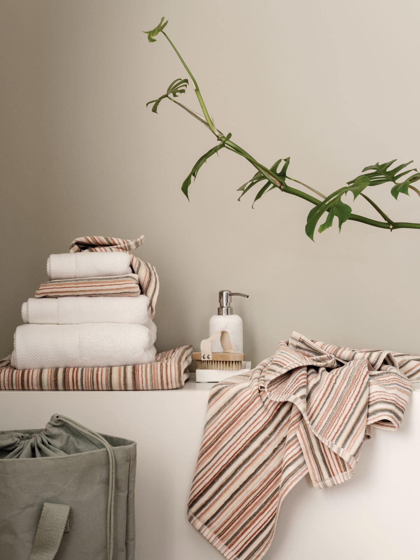 Seebidosaator valge - 2