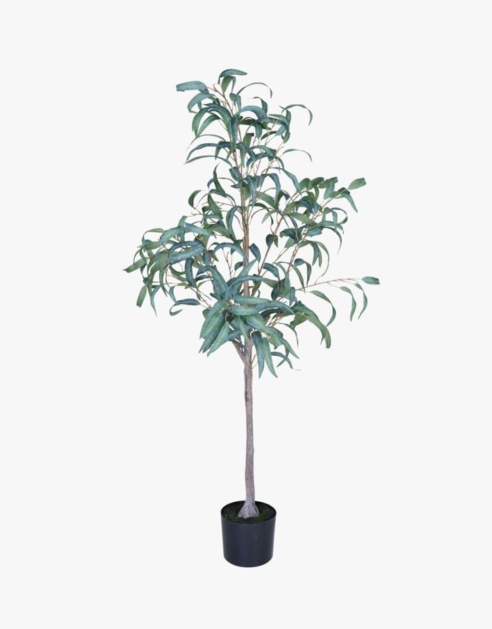 Taim roheline - 55x50x150 cm roheline - 1