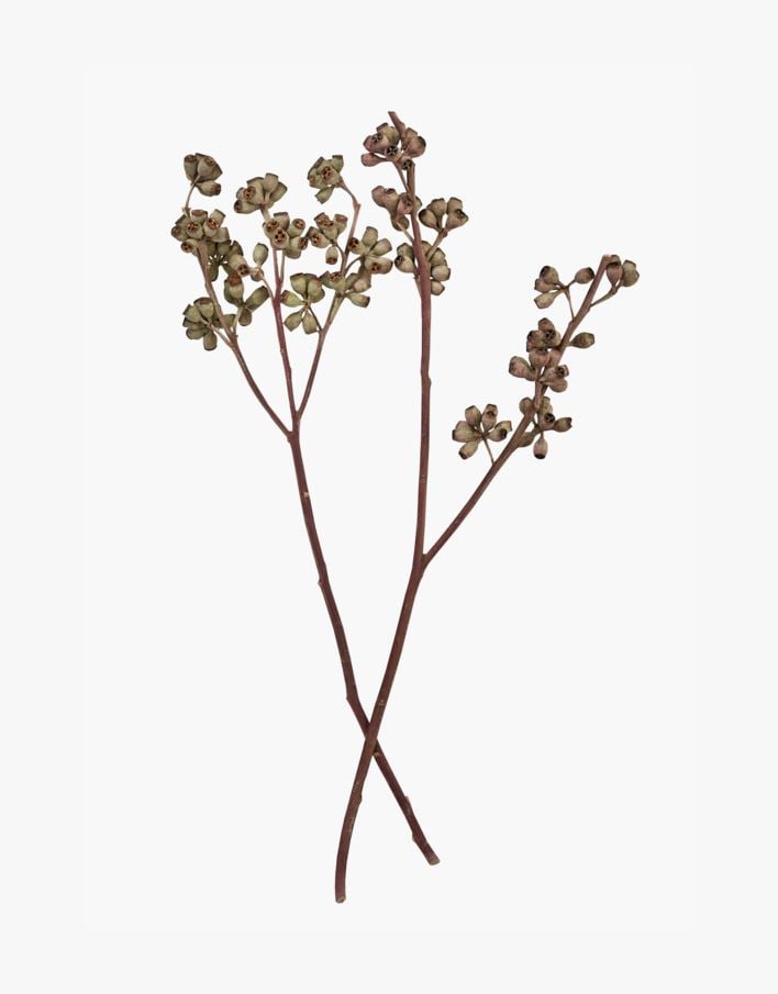 Lillekimp naturaalne toon - 50 cm naturaalne toon - 1