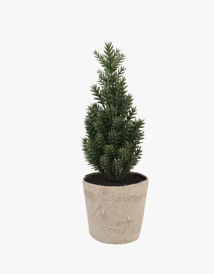 Jõulukuusk mitmevärviline/roheline - 6x6x17 cm mitmevärviline/roheline - 1