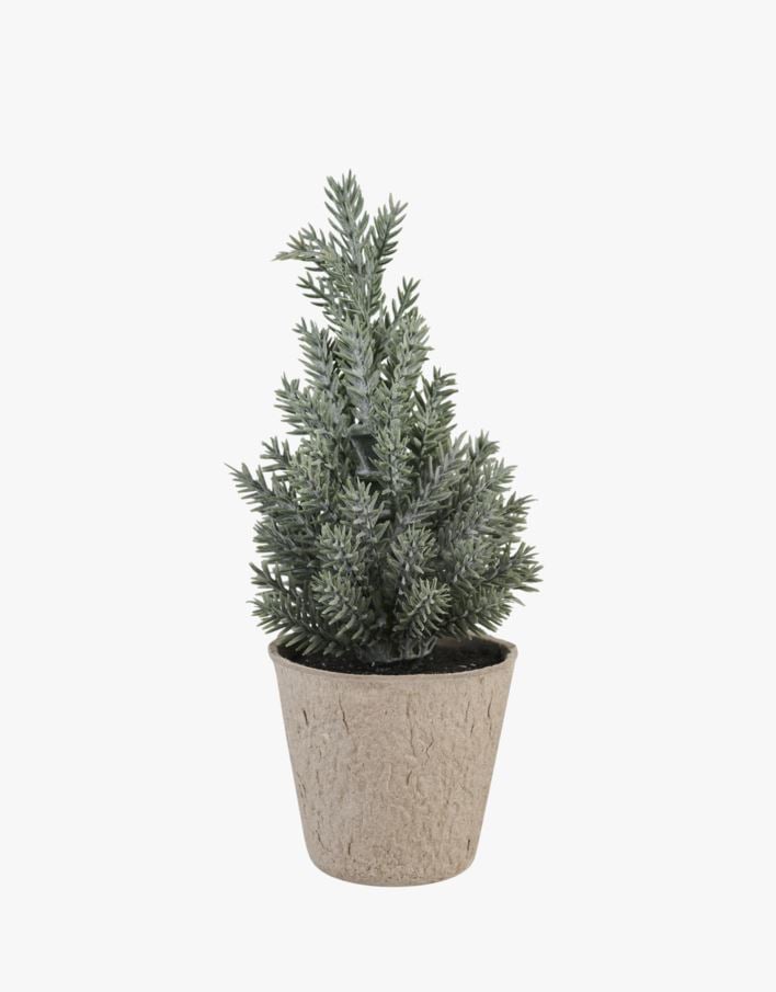 Jõulukuusk merihein - 6,5x6,5x17 cm merihein - 1